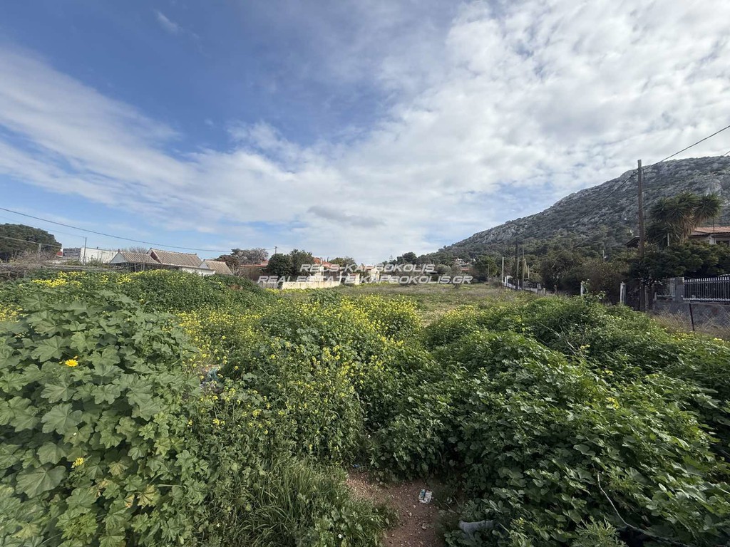 Οικόπεδο 2.473 τ.μ. προς πώληση, Αιάντειο