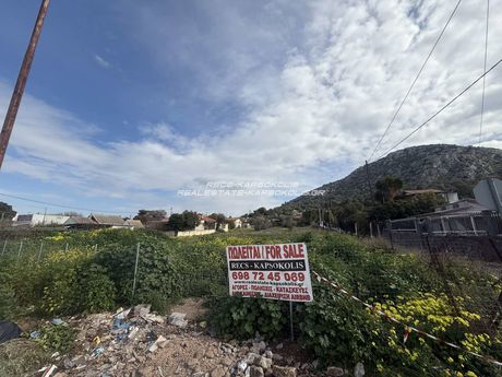 Land plot 2.473sqm for sale-Salamina