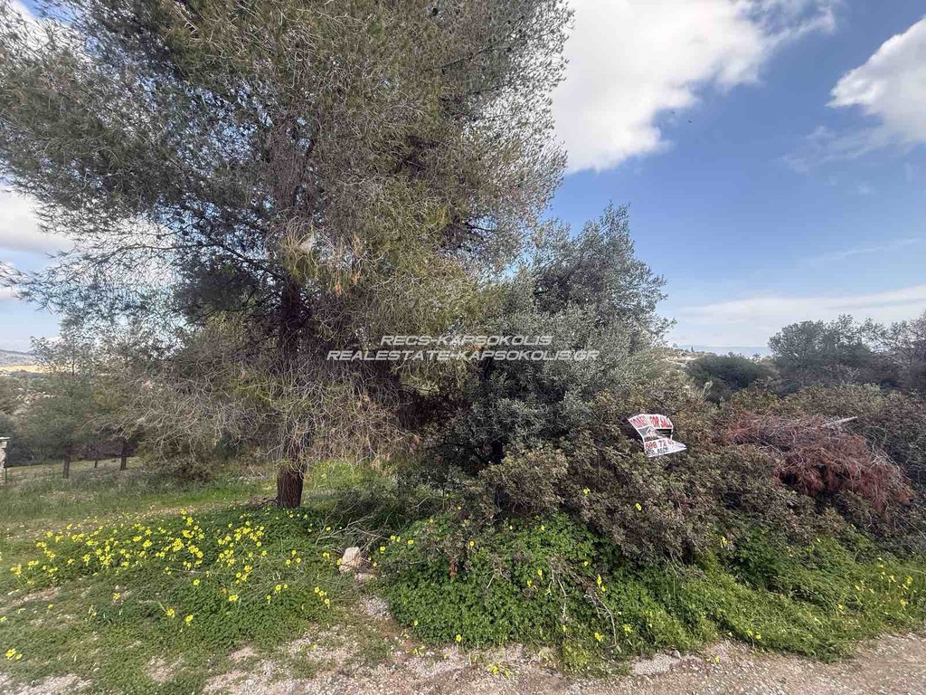 Οικόπεδο 188 τ.μ. προς πώληση, Αγία Παρασκευή Σαλαμίνας