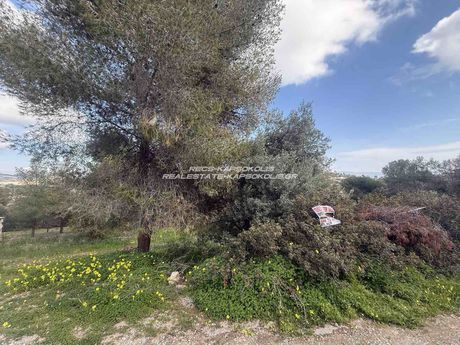 Land plot 188sqm for sale-Salamina