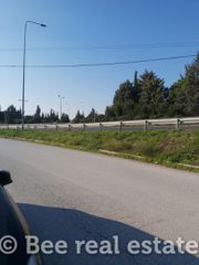Αγροτεμάχια 3.500 τ.μ. για πώληση