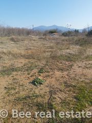 Αγροτεμάχια 4.385 τ.μ. για πώληση