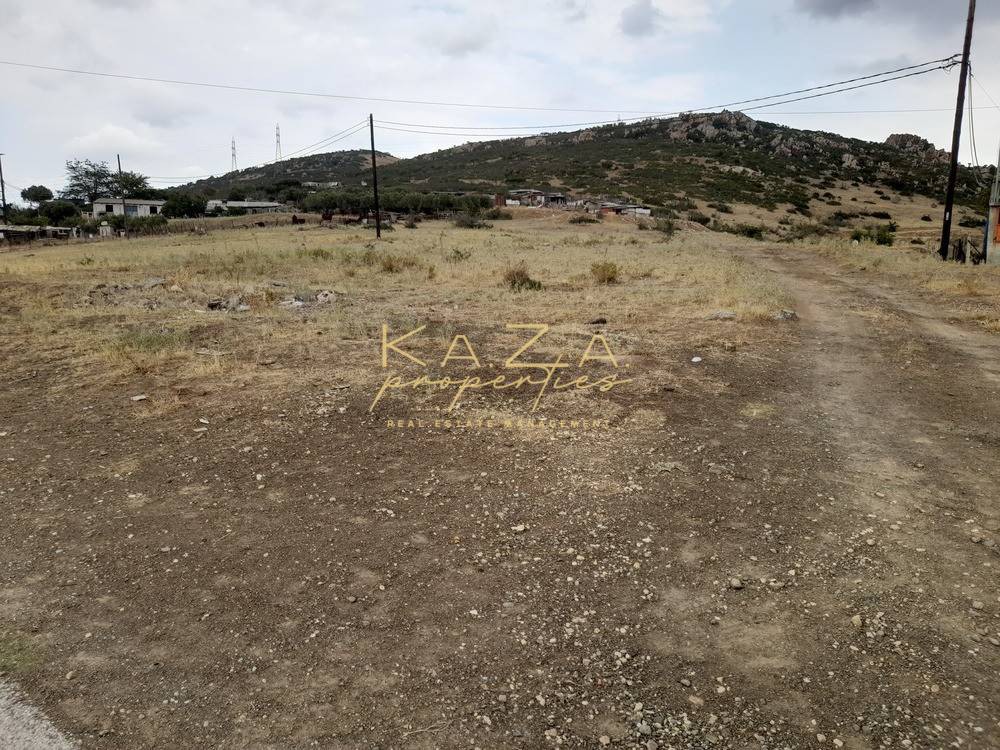 Αγροτεμάχια 4.000 τ.μ. πρός πώληση, Θεσσαλονίκη - Περιφ/Κοί Δήμοι, Ευκαρπία
