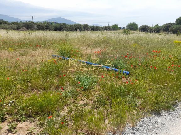 Αγροτεμάχια 13.000 τ.μ. για πώληση, Θεσσαλονίκη - Περιφ/Κοί Δήμοι, Ωραιόκαστρο