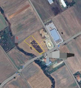 Αγροτεμάχια 4.453 τ.μ. για πώληση