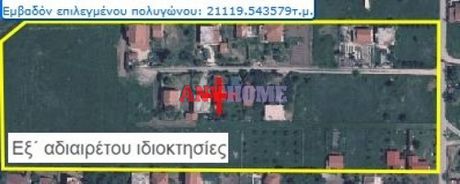 Αγροτεμάχια 6.000τ.μ. για πώληση-Καλλικράτεια » Σωζόπολη