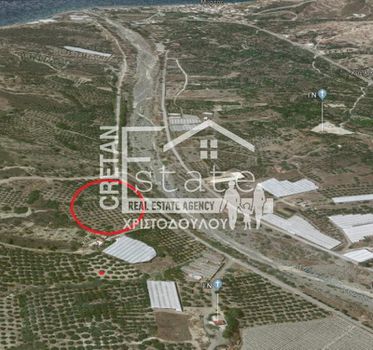 Αγροτεμάχια 11.500τ.μ. για πώληση-Ιεράπετρα » Μύρτος