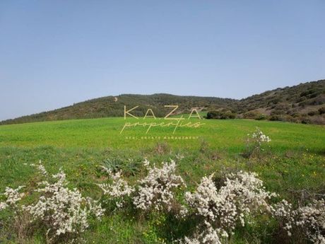 Αγροτεμάχια 12.313 τ.μ. για πώληση