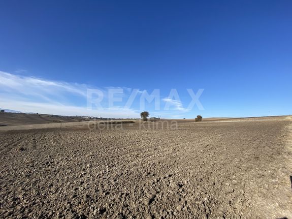 Αγροτεμάχια 9.000 τ.μ. για πώληση, Ν. Πιερίας, Κορινός