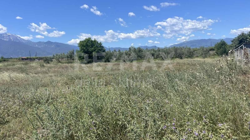 Αγροτεμάχια 6.750 τ.μ. προς πώληση, Μυλαύλακος