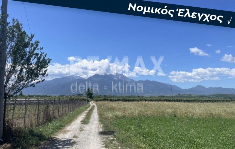 Αγροτεμάχια 6.750 τ.μ. προς πώληση, Μυλαύλακος
