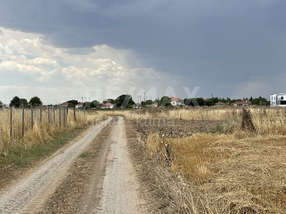 Οικόπεδο 1.000 τ.μ. για πώληση, Ν. Λάρισας, Πλατύκαμπος