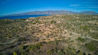 Αγροτεμάχια 11.348 τ.μ. για πώληση, Αργολίδα, Κρανίδι-thumb-9