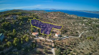 Αγροτεμάχια 11.348 τ.μ. για πώληση, Αργολίδα, Κρανίδι-thumb-3
