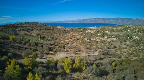 Parcel 11.348sqm for sale-Kranidi » Lakkes