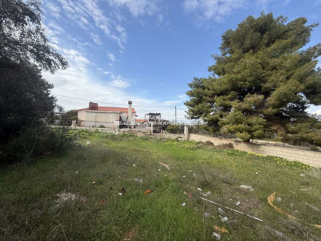 Οικόπεδο 388 τ.μ. προς πώληση, Αγία Παρασκευή Σαλαμίνας