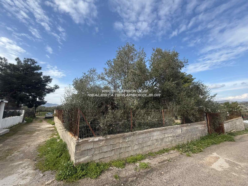 Οικόπεδο 388 τ.μ. προς πώληση, Αγία Παρασκευή Σαλαμίνας