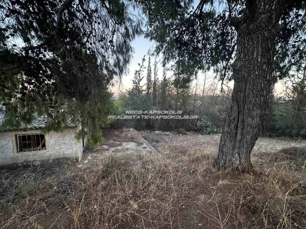 Οικόπεδο 451 τ.μ. προς πώληση, Αγία Παρασκευή Σαλαμίνας