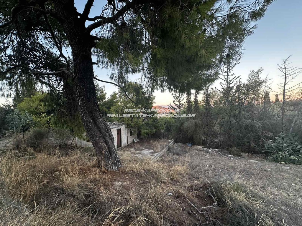 Οικόπεδο 451 τ.μ. προς πώληση, Αγία Παρασκευή Σαλαμίνας