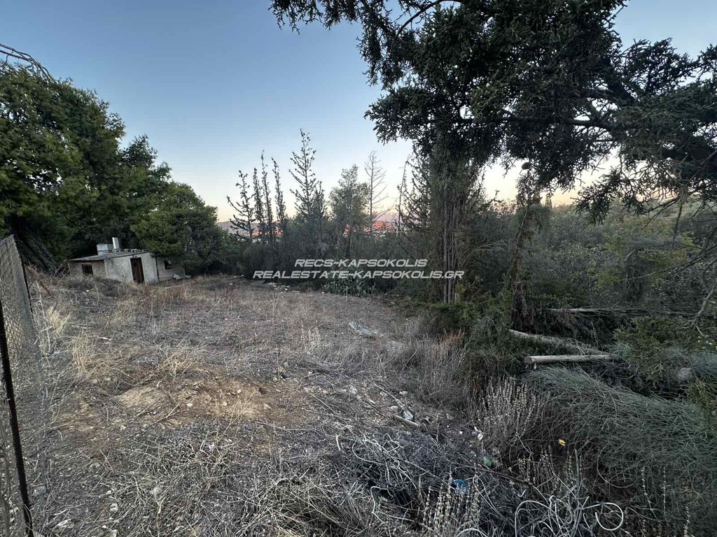 Οικόπεδο 451 τ.μ. προς πώληση, Αγία Παρασκευή Σαλαμίνας