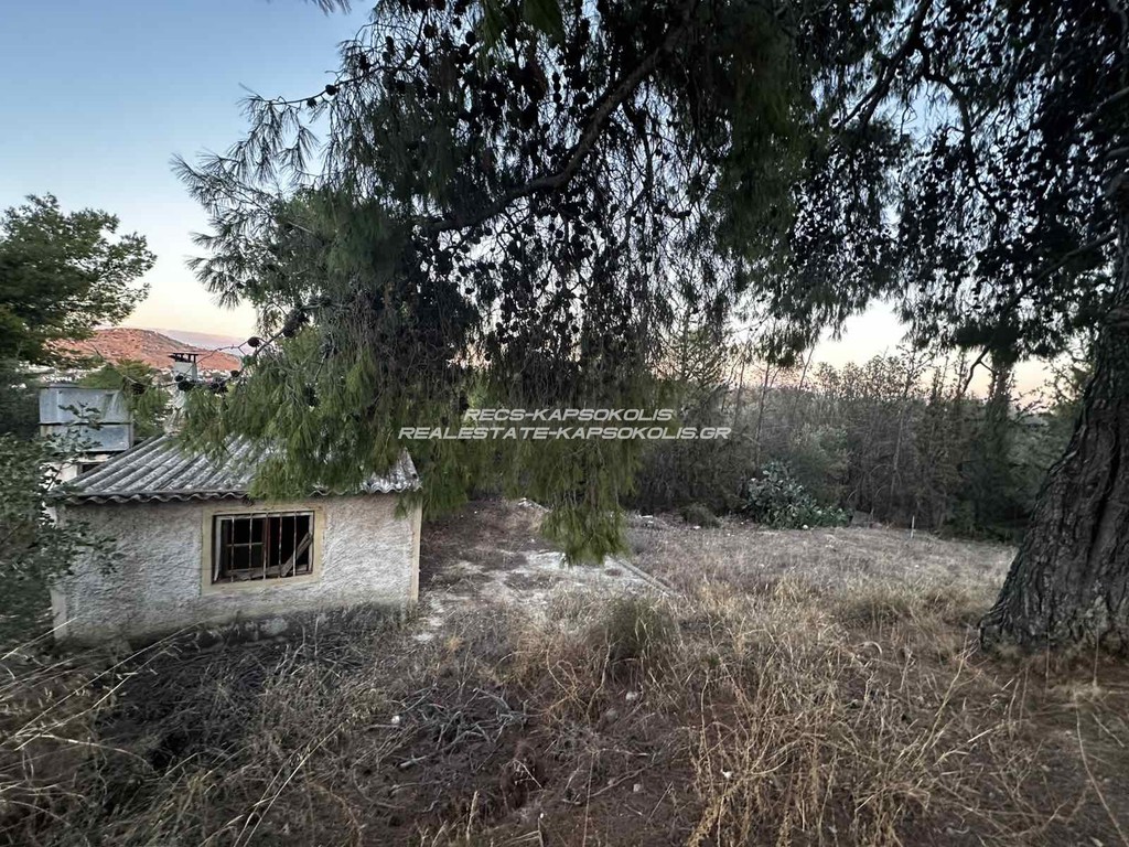 Οικόπεδο 451 τ.μ. προς πώληση, Αγία Παρασκευή Σαλαμίνας