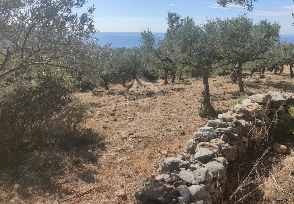 Οικόπεδο 8.500 τ.μ. για πώληση, Μεσσηνία, Λεύκτρος