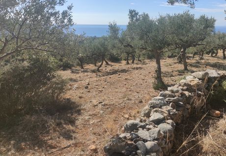 Land plot 8.500 sqm for sale