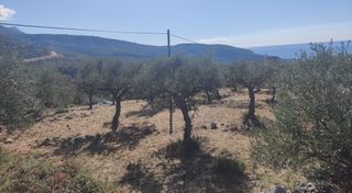 Οικόπεδο 8.500 τ.μ. πρός πώληση, Μεσσηνία, Λεύκτρος-thumb-1
