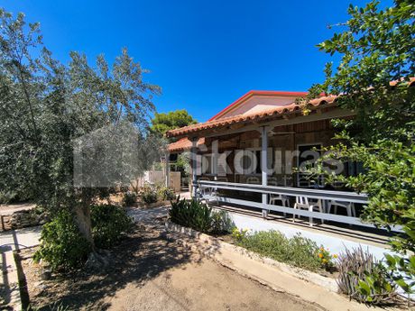 Μονοκατοικία 74τ.μ. για ενοικίαση-Ερμιόνη