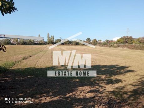 Parcel 4.796sqm for sale-Neapoli » Elaiofito