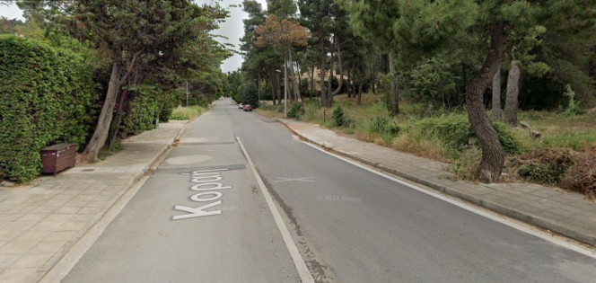 Οικόπεδο 865 τ.μ. πρός πώληση, Αθήνα - Βόρεια Προάστια, Διόνυσος