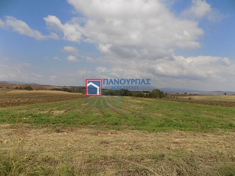 Αγροτεμάχια 10.000τ.μ. για πώληση-Δομοκός » Μακρολίβαδο
