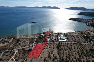 Αγροτεμάχια 2.660 τ.μ. για πώληση, Αργολίδα, Ερμιόνη-thumb-9
