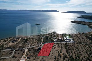Αγροτεμάχια 2.660 τ.μ. για πώληση, Αργολίδα, Ερμιόνη-thumb-12