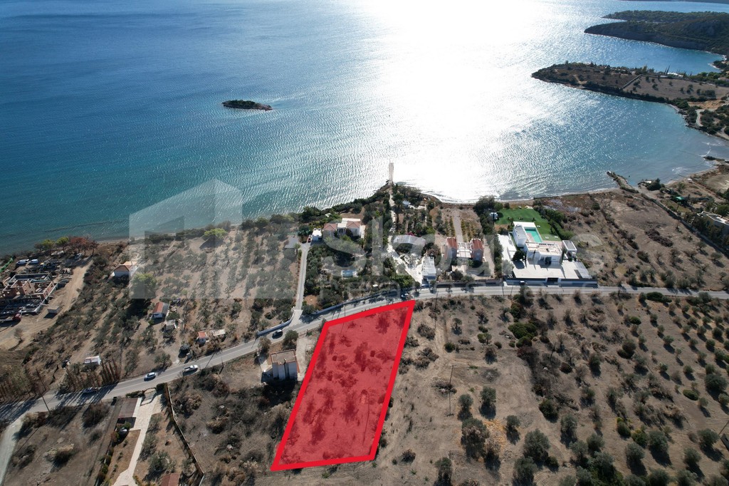 Αγροτεμάχια 2.660 τ.μ. προς πώληση, Αχλαδίτσα