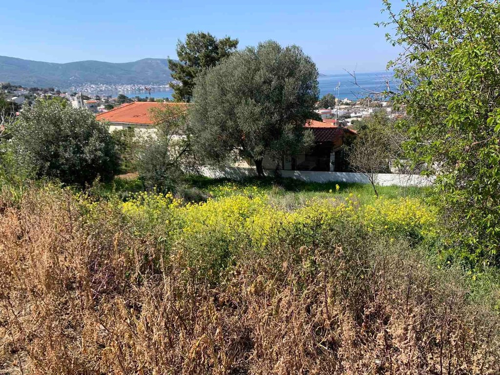 Οικόπεδο 225 τ.μ. πρός πώληση, Νησιά Αργοσαρωνικού, Σαλαμίνα