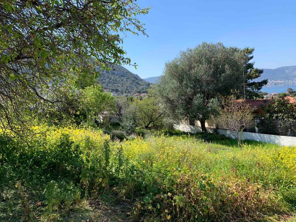 Οικόπεδο 225 τ.μ. πρός πώληση, Νησιά Αργοσαρωνικού, Σαλαμίνα