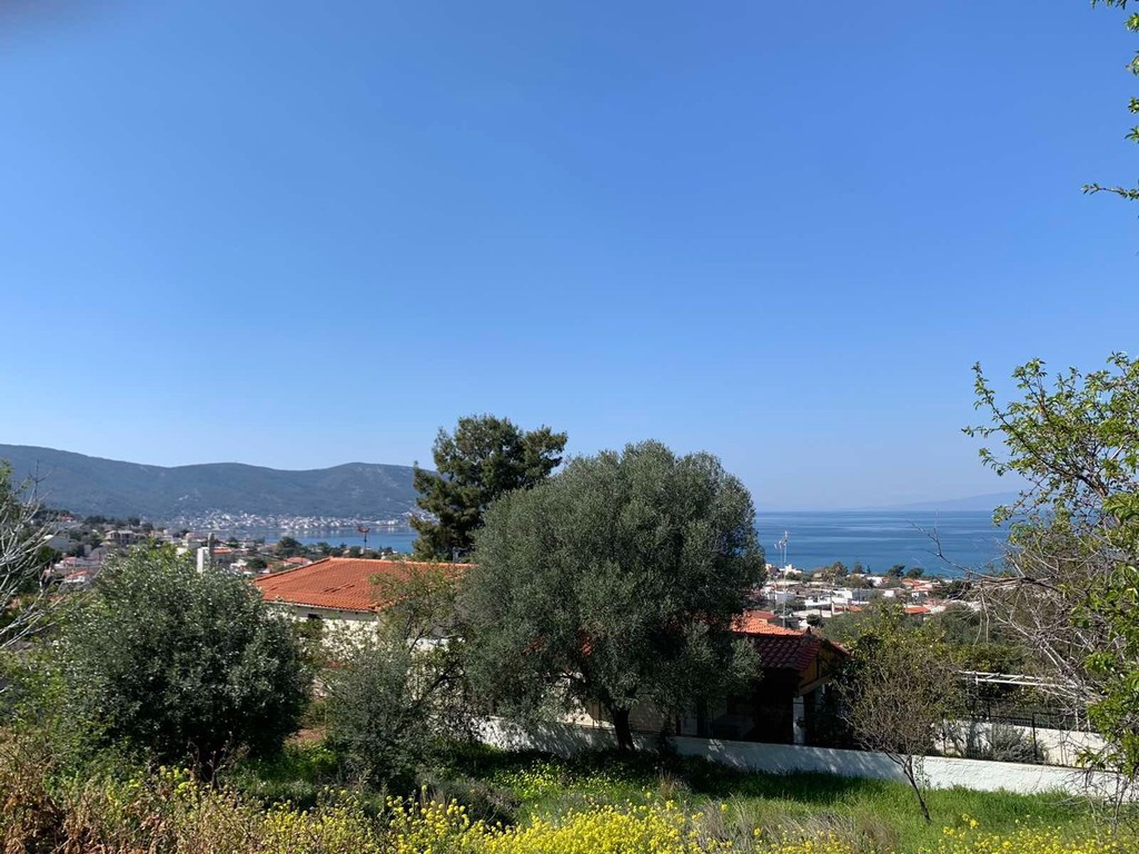 Οικόπεδο 225 τ.μ. πρός πώληση, Νησιά Αργοσαρωνικού, Σαλαμίνα