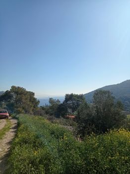 Land plot 612sqm for sale-Salamina