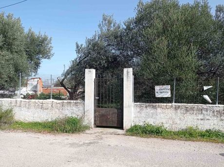 Parcel 242sqm for sale-Abelakia