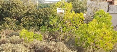 Parcel 189sqm for sale-Salamina