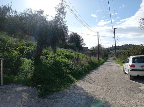 Land plot 500sqm for sale-Salamina