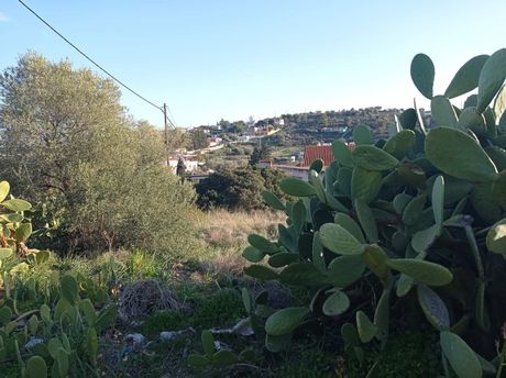 Land plot 440sqm for sale-Abelakia