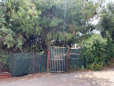 Land plot 236sqm for sale-Salamina