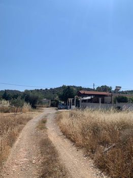 Land plot 890sqm for sale-Salamina