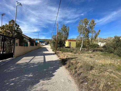 Αγροτεμάχια 441 τ.μ. για πώληση
