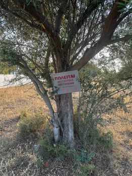 Αγροτεμάχια 247 τ.μ. για πώληση