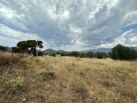 Αγροτεμάχια 750 τ.μ. για πώληση