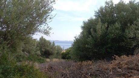 Αγροτεμάχια 347 τ.μ. πρός πώληση
