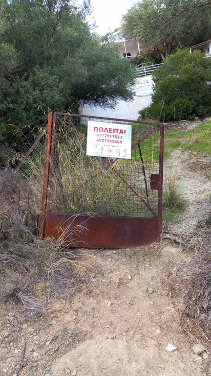 Αγροτεμάχια 347 τ.μ. πρός πώληση, Νησιά Αργοσαρωνικού, Σαλαμίνα